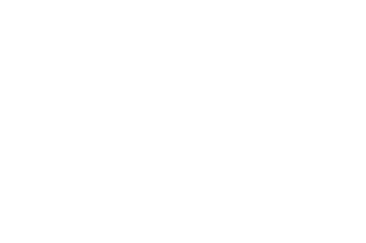Soeco by Yllw