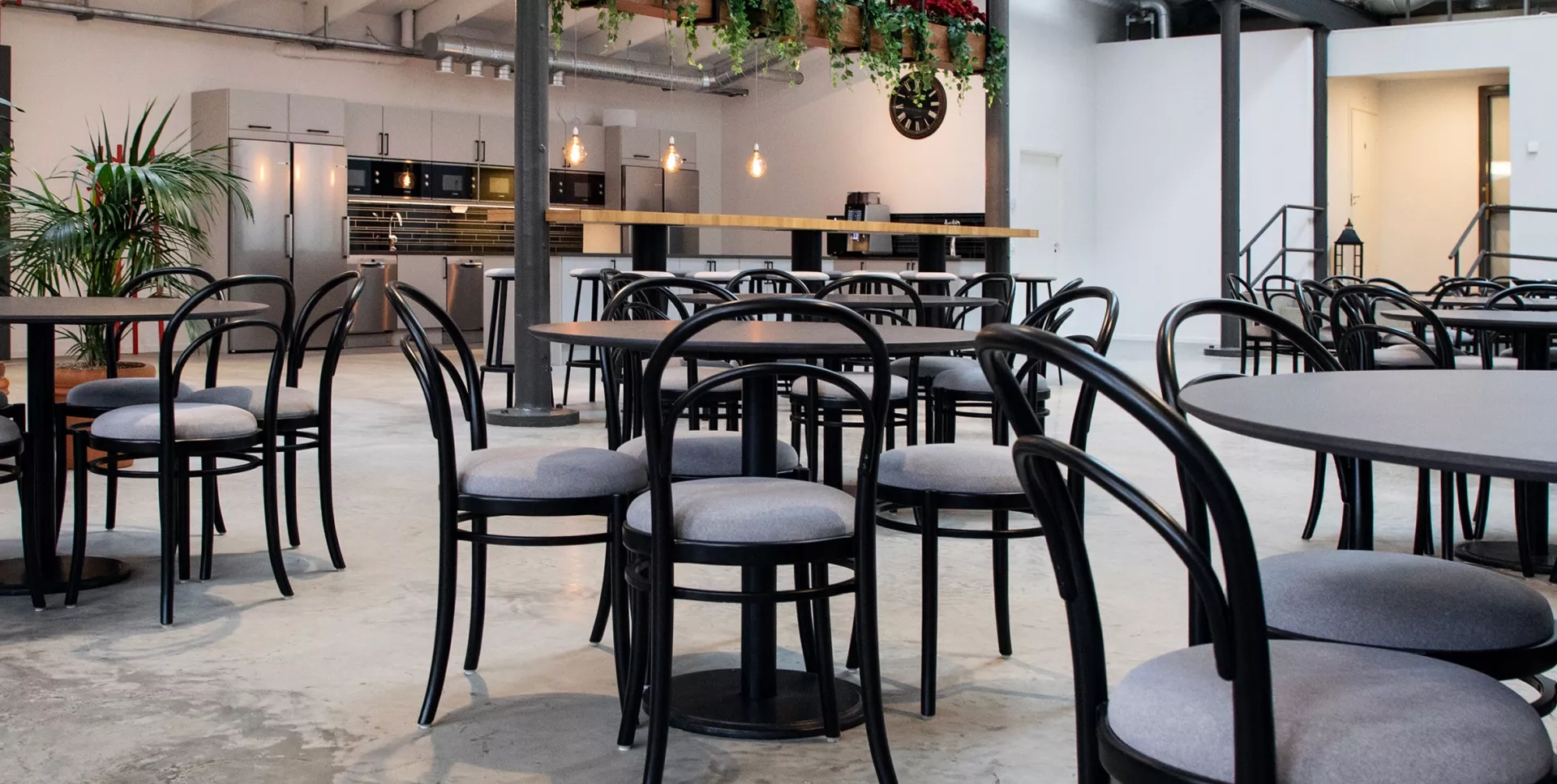 Omklädda Thonet-stolar hos Sandvik